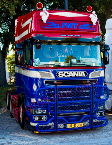 Rammschutz Scania NTG 1